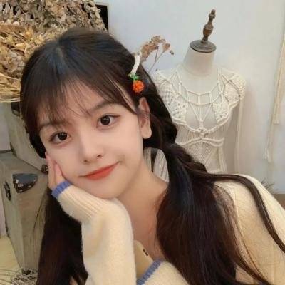 恐龙战队第一季