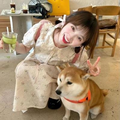 陌生的朋友