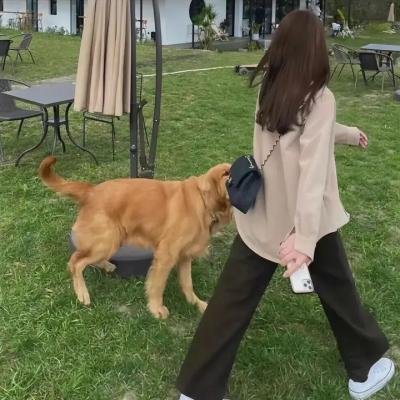 白发鬼